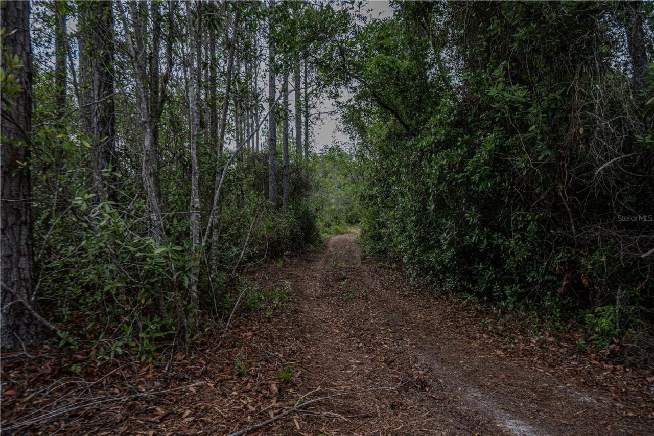 Ne 150th Ave Road, Lot #LOT 3, Fort Mc Coy, FL 32134 Photo