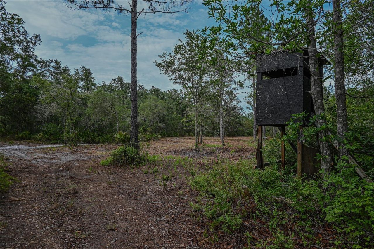 Ne 150th Ave Road, Lot #LOT 3, Fort Mc Coy, FL 32134 Photo