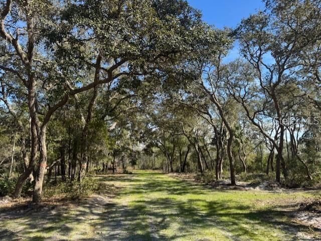Ne 150th Ave Road, Lot #LOT 3, Fort Mc Coy, FL 32134 Photo