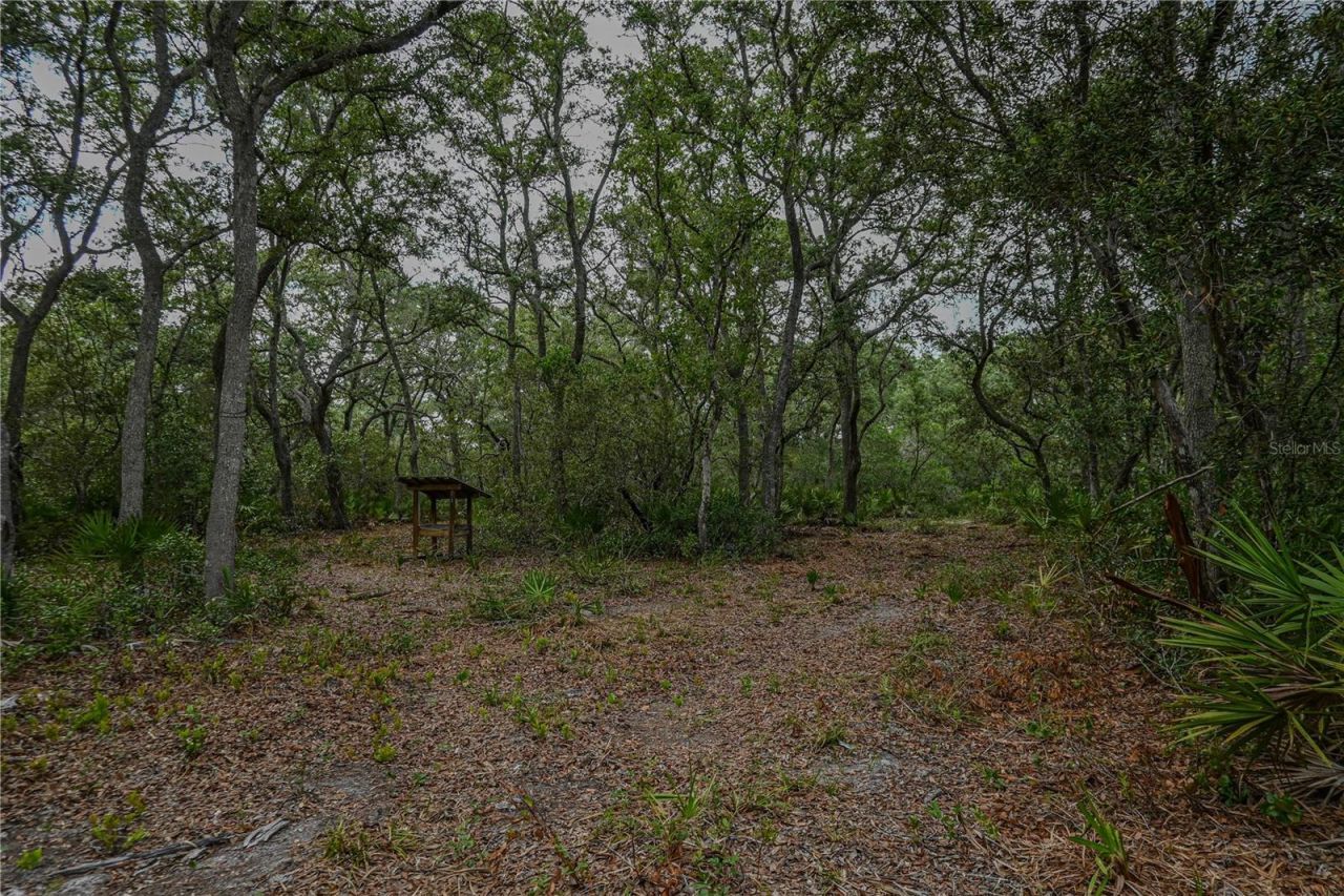 Ne 150th Ave Road, Lot #LOT 3, Fort Mc Coy, FL 32134 Photo
