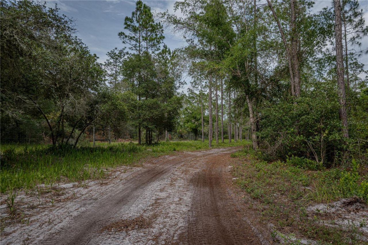 Ne 150th Ave Road, Lot #LOT 3, Fort Mc Coy, FL 32134 Photo
