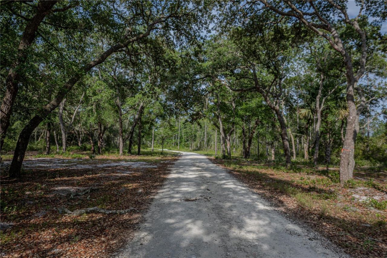 Ne 150th Ave Road, Lot #LOT 3, Fort Mc Coy, FL 32134 Photo