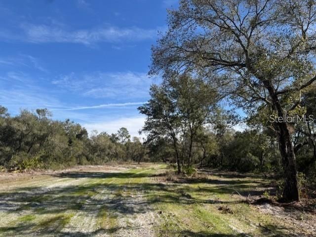 Ne 150th Ave Road, Lot #LOT 3, Fort Mc Coy, FL 32134 Photo