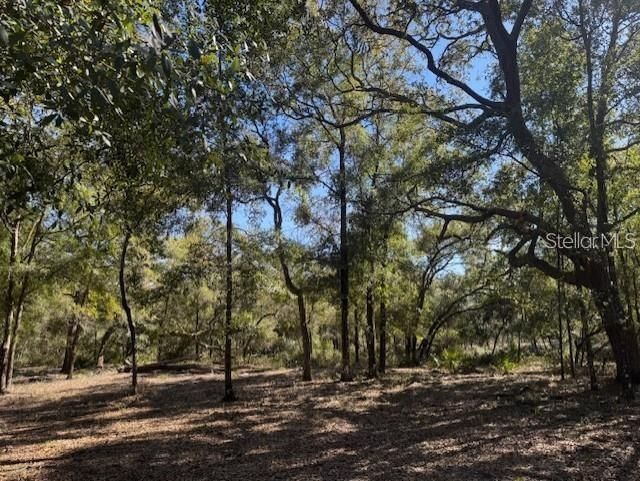 Ne 150th Ave Road, Lot #LOT 3, Fort Mc Coy, FL 32134 Photo