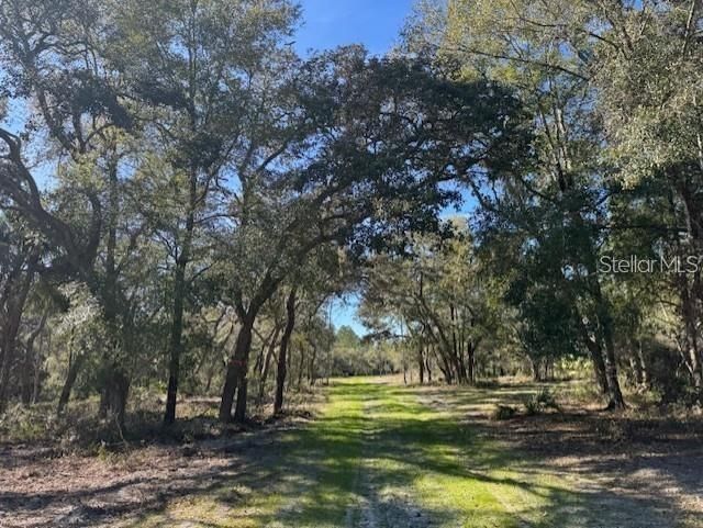 Ne 150th Ave Road, Lot #LOT 3, Fort Mc Coy, FL 32134 Photo