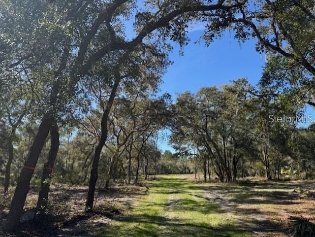 Ne 150th Ave Road, Lot #LOT 3, Fort Mc Coy, FL 32134 Photo