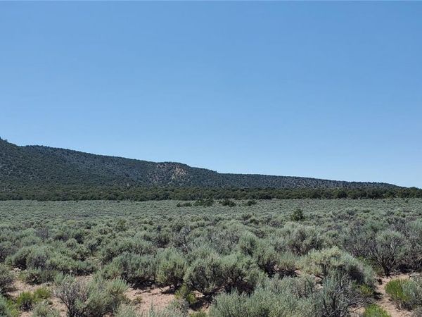 588 County Lane, Fort Garland, CO 81133