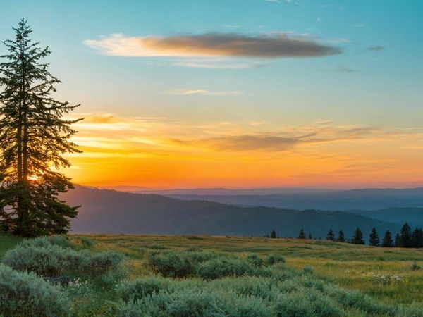 Fishhole Creek Road, Bly, OR 97622