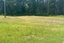 0000 N Highway 17 photo 4