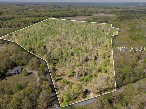 0 Barren Springs Road, Hollow Rock, TN 38342