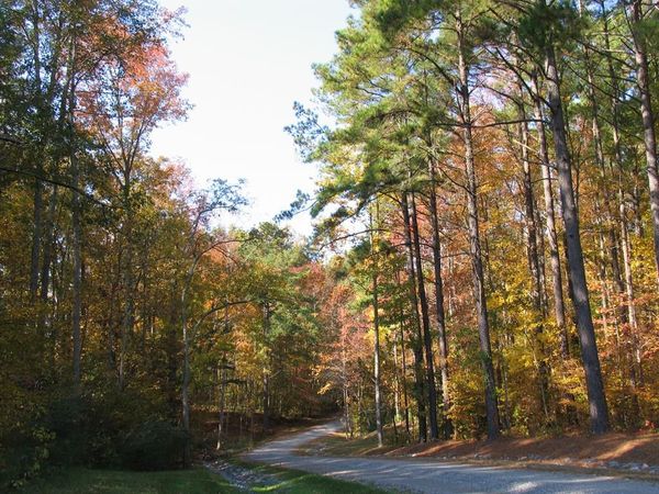 12 Glenwood Lane, IRVINGTON, VA 22480