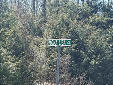 Lot 194 Florence Court, Davis, WV 26260