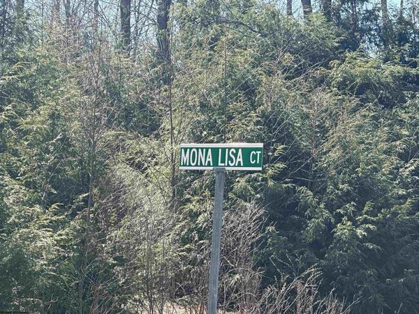 Lot 194 Florence Court, Davis, WV 26260