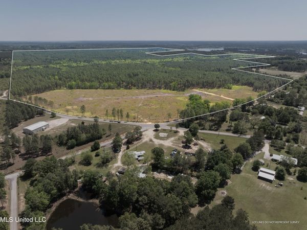 703 Ac +/- Purvis To Baxterville Road, Purvis, MS 39475