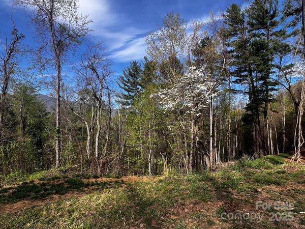 0 Little Creek Drive, Canton, NC 28716