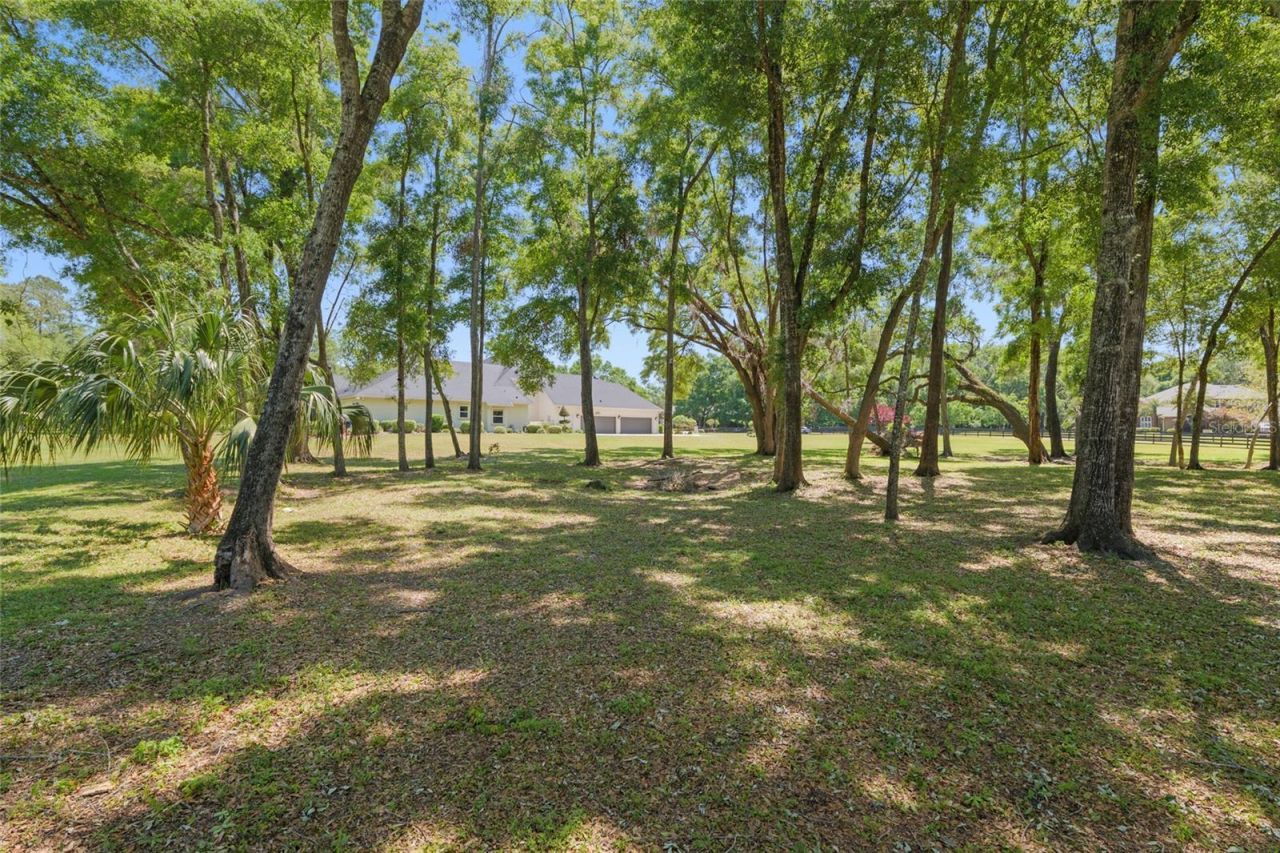 14742 NW 11th Place, Newberry, FL 32669 Photo