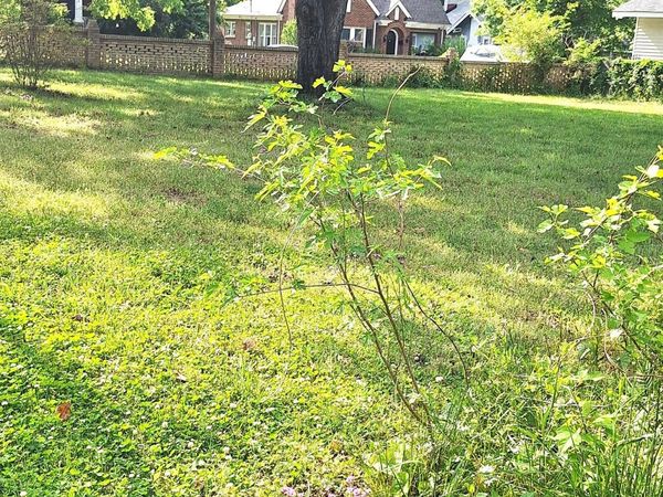 207 Maurice Street, Monroe, NC 28112