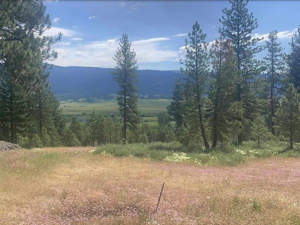 TBD Baneberry Dr., New Meadows, ID 83654