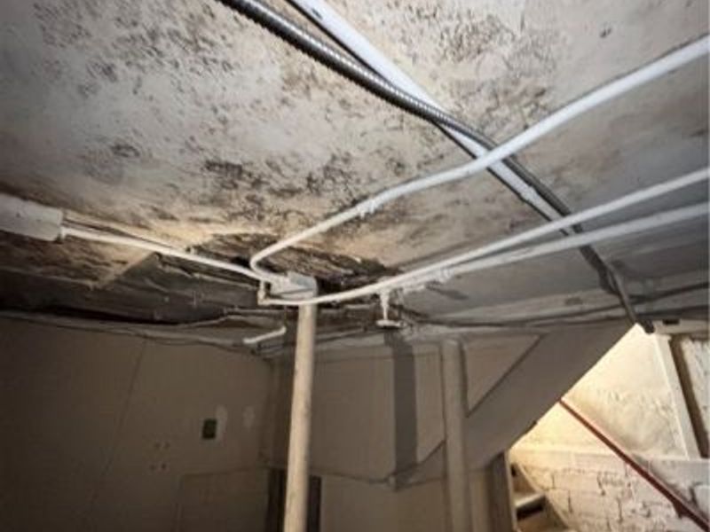 1220 Ansel Road, Cleveland, OH 44108 Photo 48