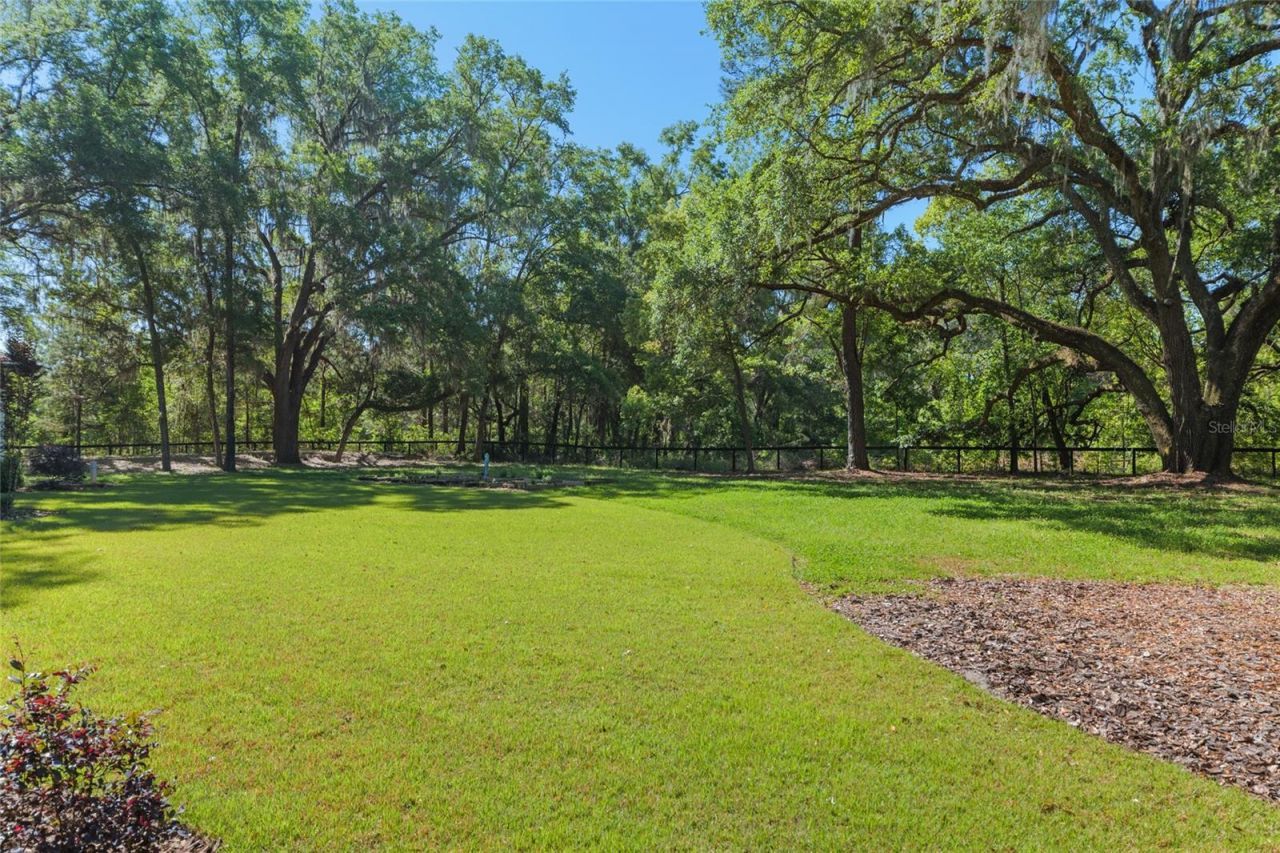 14819 NW 21st Avenue, Newberry, FL 32669 Photo