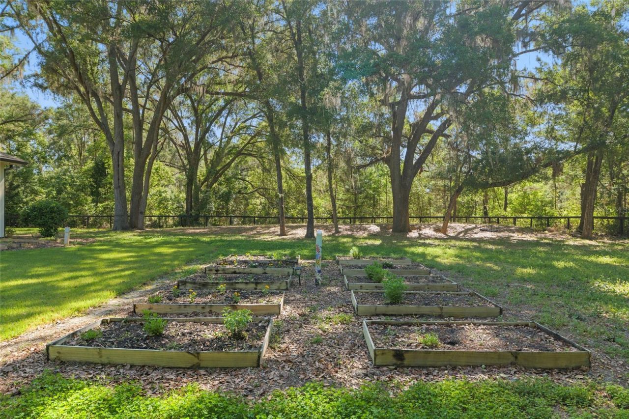 14819 NW 21st Avenue, Newberry, FL 32669 Photo