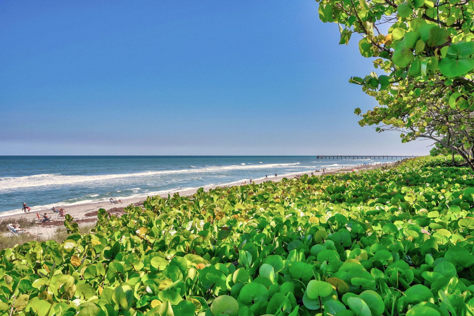 105 Mainsail Circle, Jupiter, FL 33477 Photo