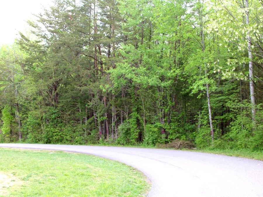 Property Image 5