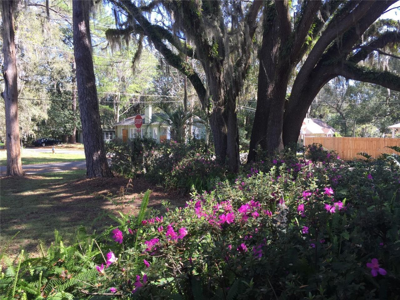 2703 NW 2nd Avenue, Gainesville, FL 32607 Photo