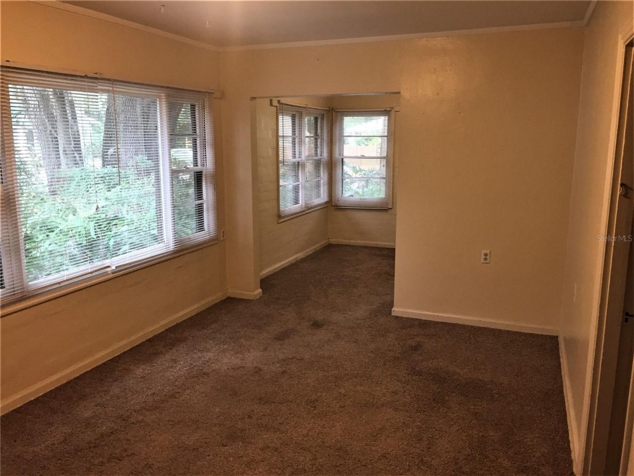 2703 NW 2nd Avenue, Gainesville, FL 32607 Photo