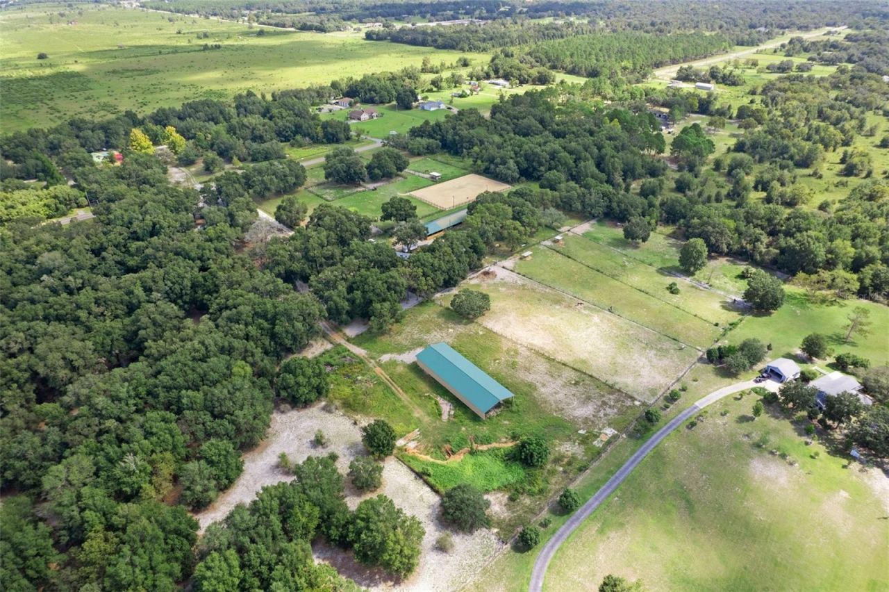 11046 Kitten Trail, Hudson, FL 34669 Photo