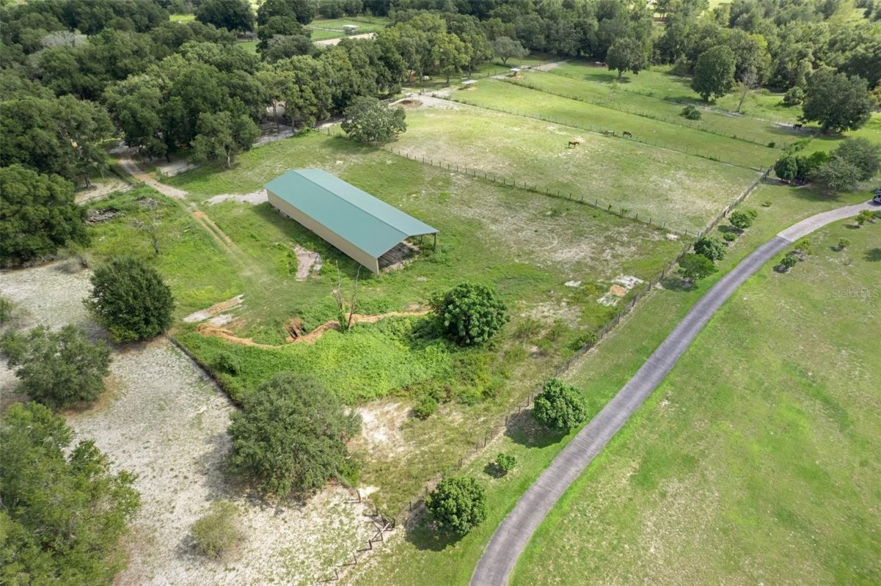 11046 Kitten Trail, Hudson, FL 34669 Photo