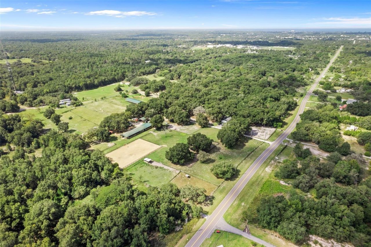 11046 Kitten Trail, Hudson, FL 34669 Photo