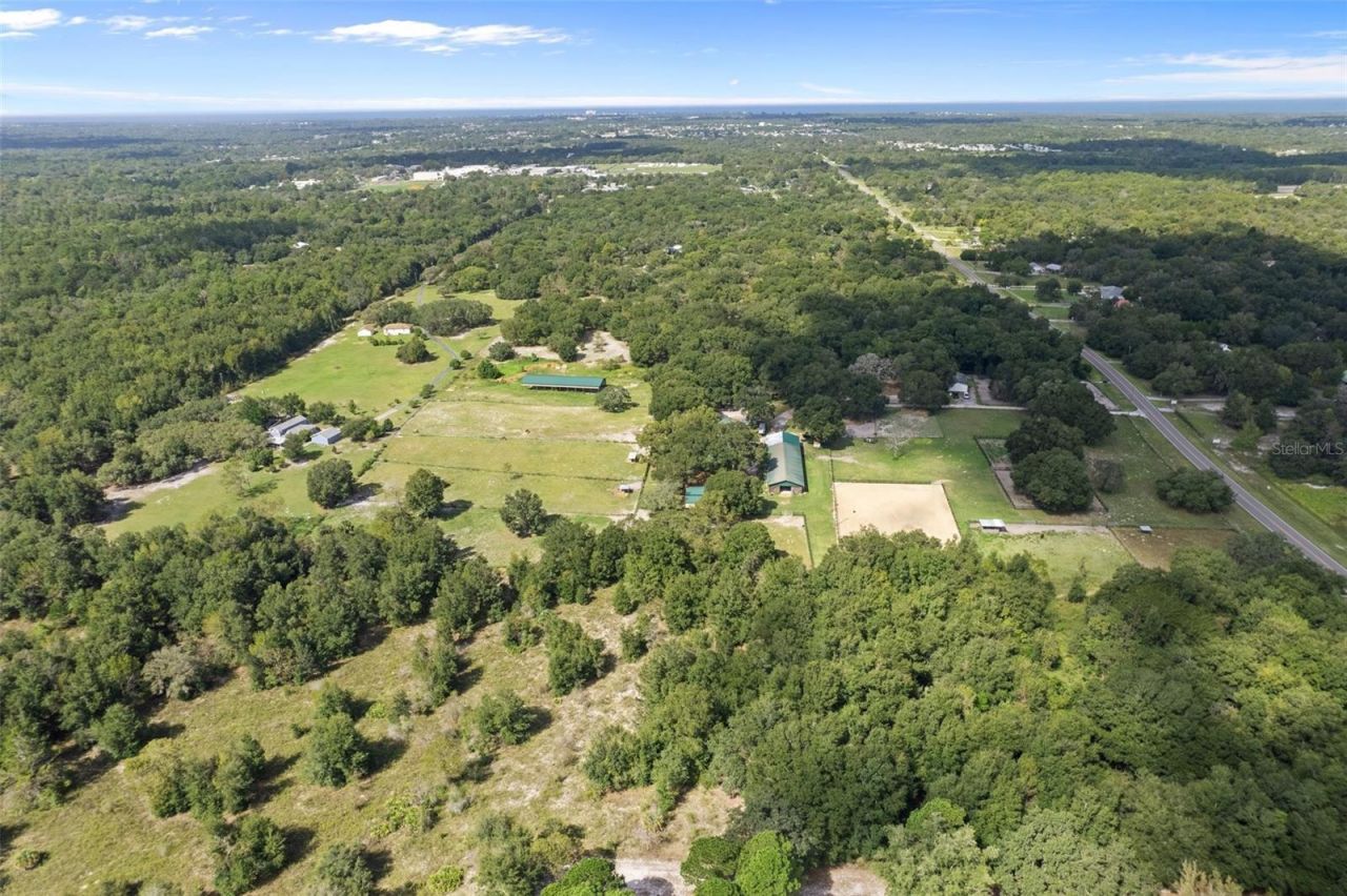 11046 Kitten Trail, Hudson, FL 34669 Photo