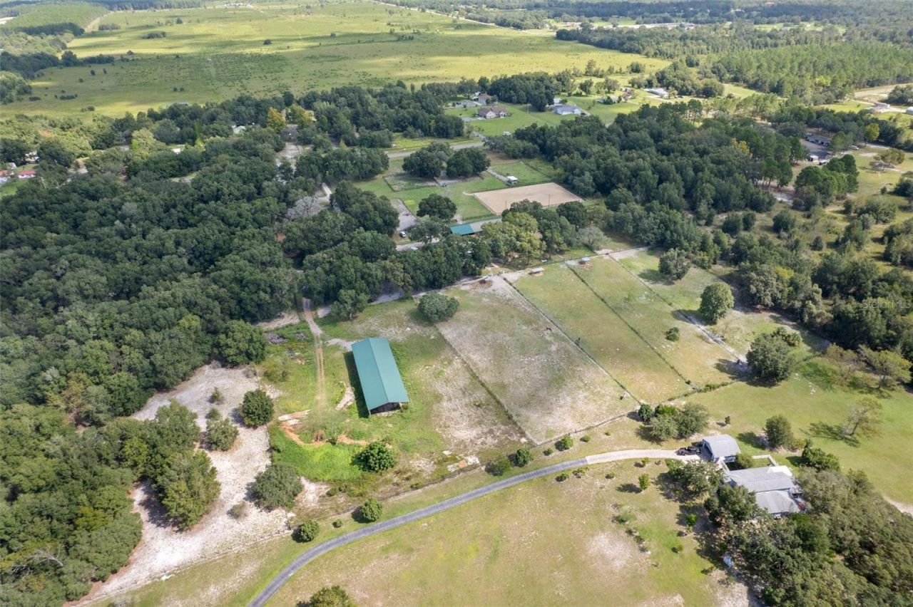 11046 Kitten Trail, Hudson, FL 34669 Photo