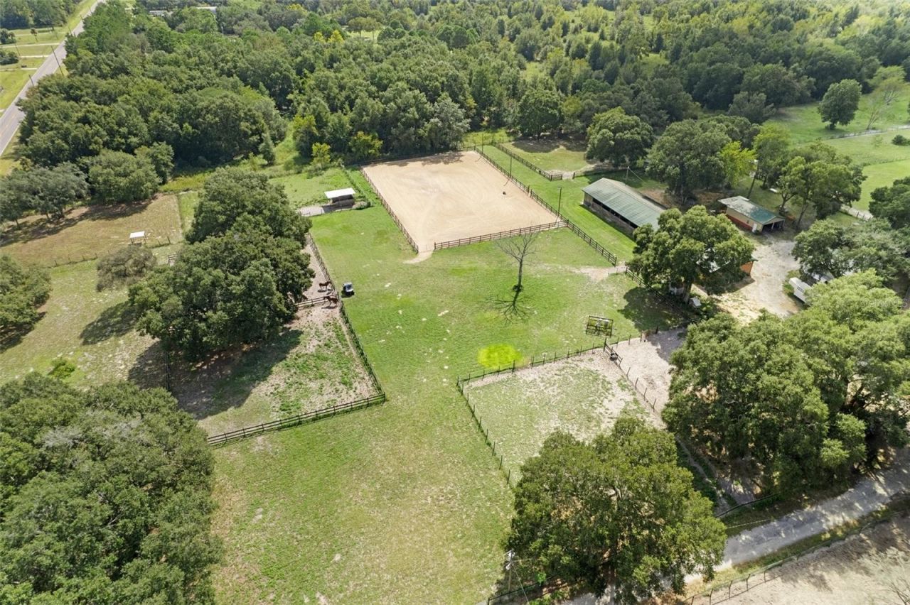 11046 Kitten Trail, Hudson, FL 34669 Photo