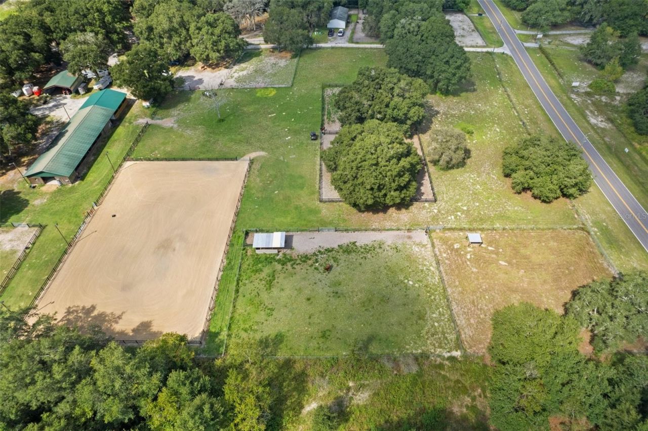 11046 Kitten Trail, Hudson, FL 34669 Photo