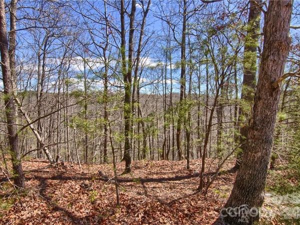 00 N Boundary Road, Mill Spring, NC 28756