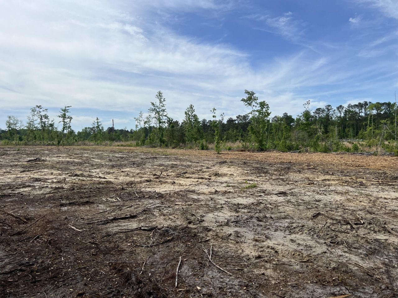 71 Herndon Street Photo 2