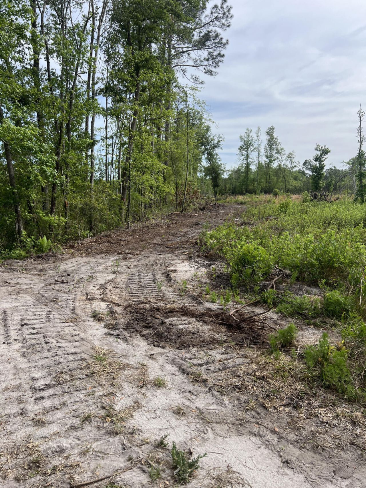 71 Herndon Street Photo 3