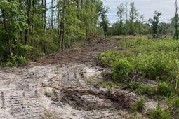 71 Herndon Street photo 4