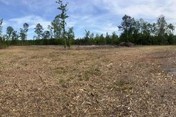 71 Herndon Street photo 4