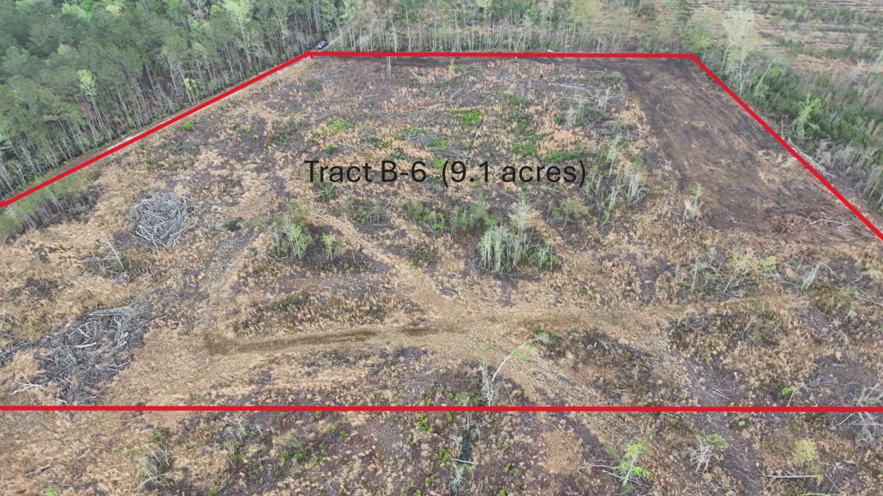 71 Herndon Street Photo 5