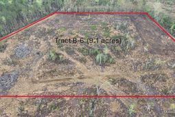 71 Herndon Street photo 4