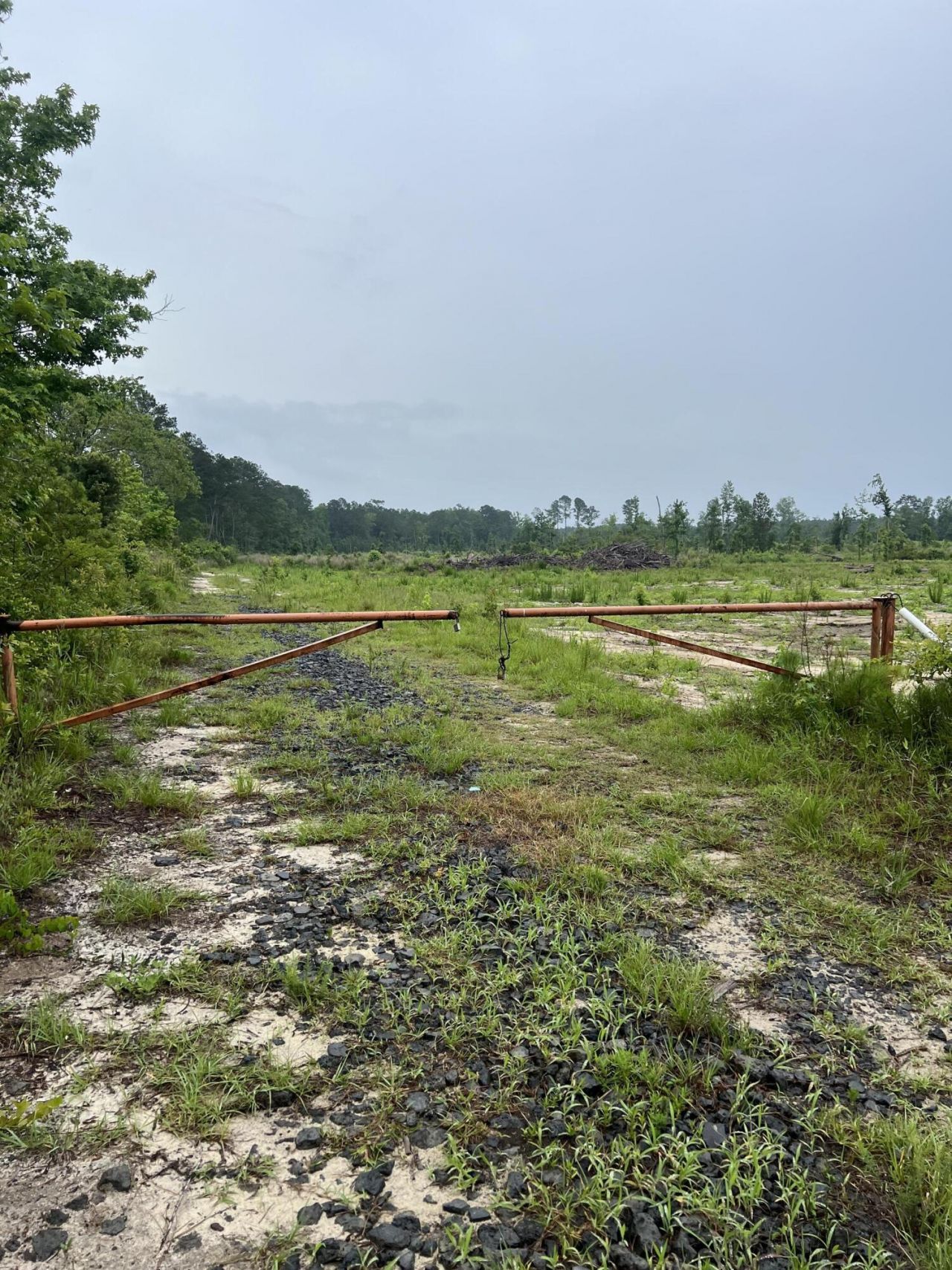 71 Herndon Street Photo 6