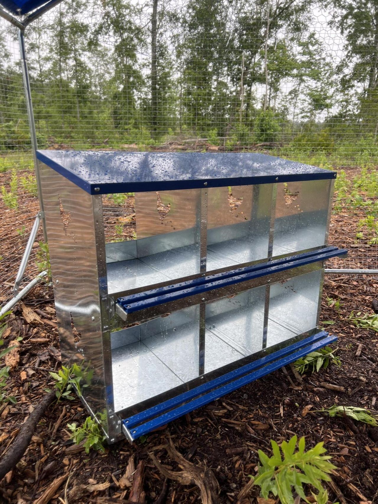 71 Herndon Street Photo 8