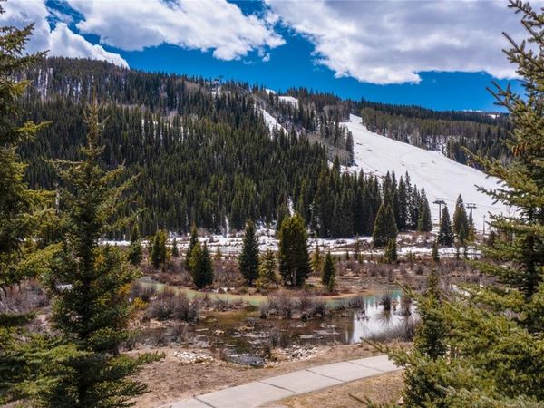 58 Hawk Circle, Unit 2342, Dillon, CO 80435