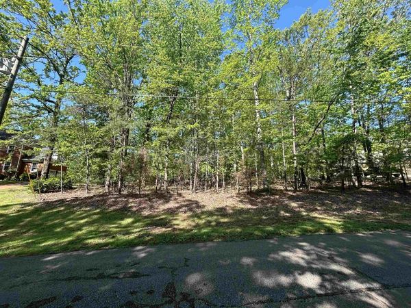 386 WINDWOOD PT, Counce, TN 38326