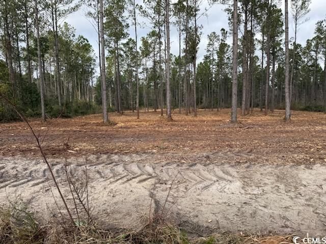 5.73 Acs Kates Bay Hwy. Photo 2