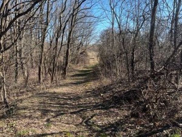 Parcel A W County Line Road, Greenville, MI 48838