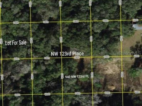 TBD NW 123RD PLACE, CITRA, FL 32113